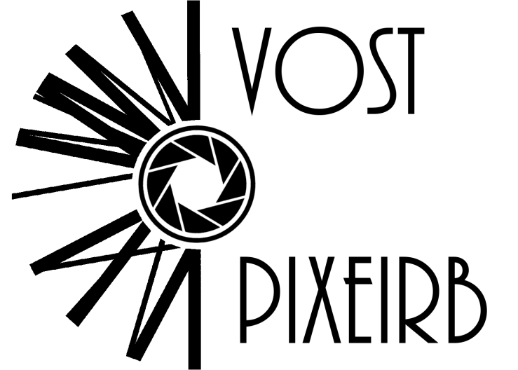 logo_vost_pixeirb
